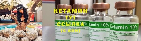 прущий лед Новозыбков