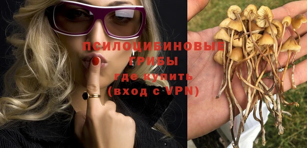 прущий лед Новозыбков