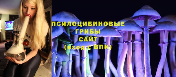 молекула духа Новодвинск